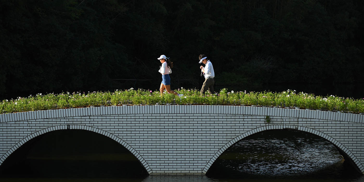 GenericaGolfDamasParejas-01.jpg